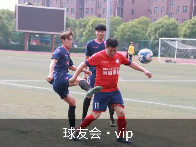 了解球友会·vip